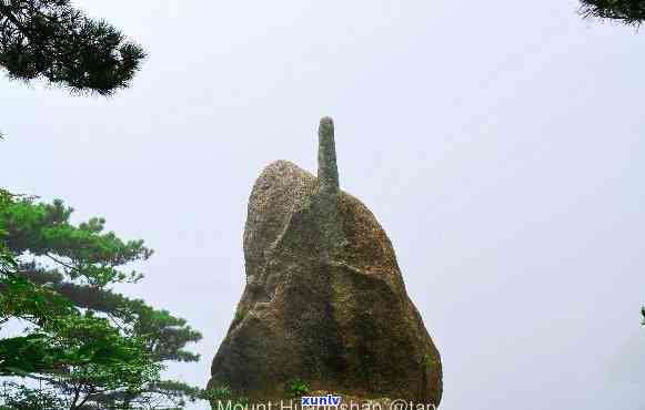 黄山有石头捡吗？黄山上石头千奇百怪，哪些石头最特别？来黄山一探究竟！