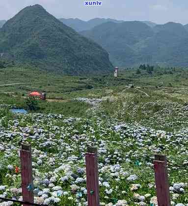 野玉石图片水冲-野玉海风景区图片