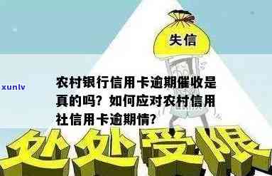 农村信用社普卡逾期怎么办，解决农村信用社普卡逾期疑问的有效  