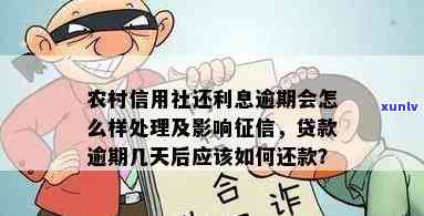 农村信用社普卡逾期会产生何种后果？能否继续使用或期？未还款会有何影响？逾期一天是否会影响？