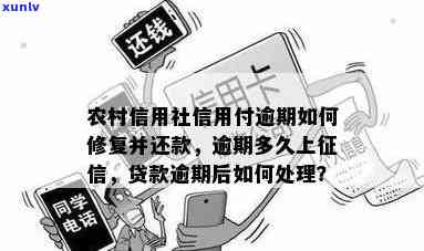 农村信用社贷款逾期后还清还能借吗，怎样解决农村信用社贷款逾期：还清后是不是可以再次借款？