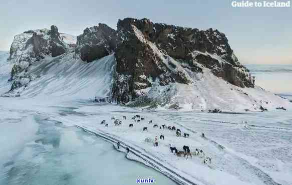 冰岛的旅游特色，探索神秘的北极之地：冰岛旅游特色一览