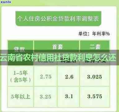 云南农村信用社贷款期政策，云南农村信用社布贷款期政策，缓解农户还款压力