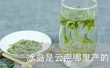 云南冰岛茶叶是谁，揭秘云南冰岛茶叶的是谁？