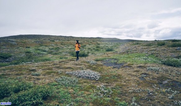 独居冰岛的一年嘉倩，孤独星球：在冰岛度过一年的嘉倩之旅