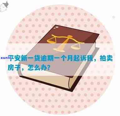 平安新一贷逾期打官司-平安新一贷逾期打官司会怎么样