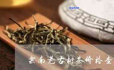 云南古树茶叶的价格-云南古树茶叶的价格是多少