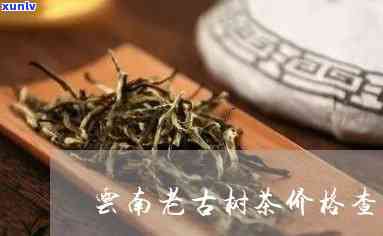 昆明市古树茶叶价格-昆明市古树茶叶价格表