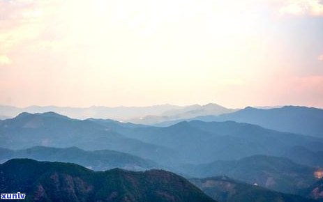 云南勐库冰岛茶的口感，探索云南勐库冰岛茶的独特口感体验