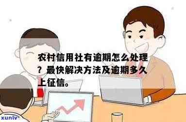 农村信用社逾期如何还款？查询、最新消息及修复 *** 全攻略！