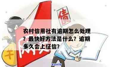 农村信用社逾期怎样还款？查询、最新消息及修复  全攻略！