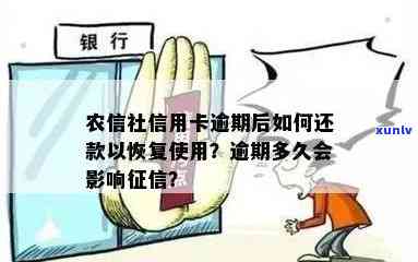 农村信用社逾期怎样还款？查询、最新消息及修复  全攻略！