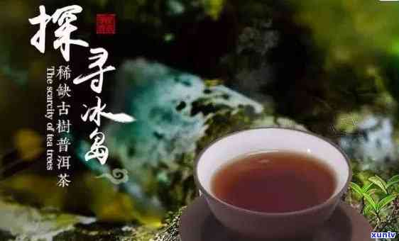 冰岛老寨古树茶300年，探秘千年古韵：冰岛老寨300年古树茶的魅力与价值