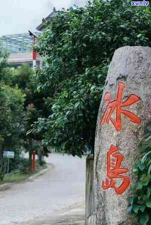 东半山的茶是冰岛吗-东半山的茶是冰岛吗为什么