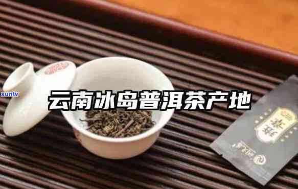 云南冰岛茶产地在哪里，揭秘云南冰岛茶的产地信息