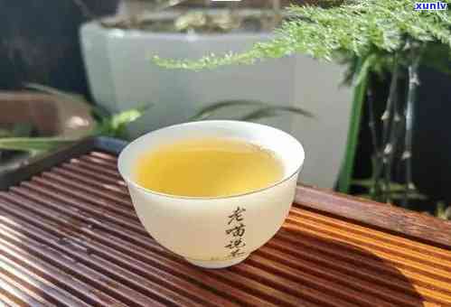 冰岛茶和什么一起泡好喝，探索美味：冰岛茶的完美搭配