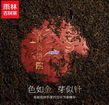 雨林古树茶叶怎么样-雨林古树茶质量如何