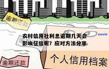 农村信用社逾期利息是多少？逾期多久会上？作用因素是什么？