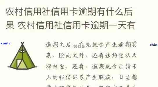 农村信用社最长逾期月-农村信用社最长逾期月利息多少