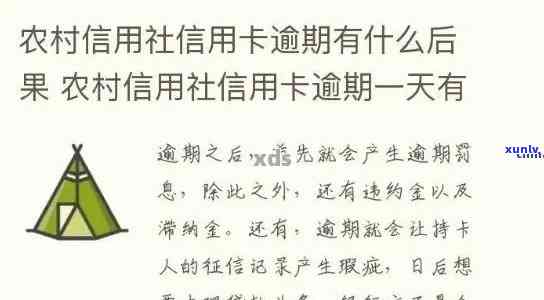 农村信用社怎样算逾期-农村信用社怎样算逾期利息