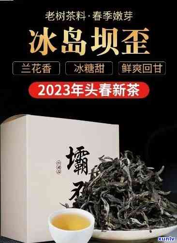 冰岛坝歪茶多少钱一公斤，冰岛坝歪茶价格查询：每公斤售价多少？