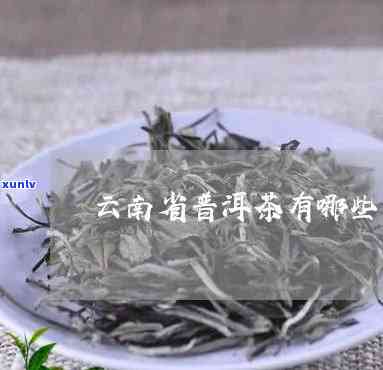 云南比较有名的茶叶-云南比较有名的茶叶店