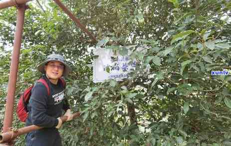 大雪山和冰岛：哪个更有趣？探索两者的区别与特色