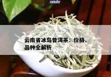 云南七子冰岛普洱茶价格与特点全解析