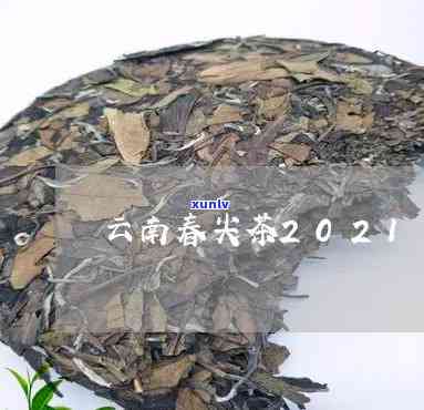 云南春尖茶叶多少钱一斤？最新精品茶价查询