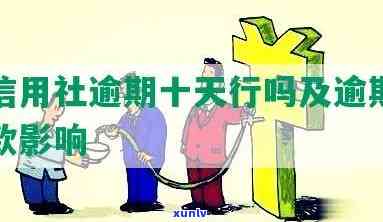 农村信用社逾期10天会怎样，逾期10天，农村信用社将采取哪些措？