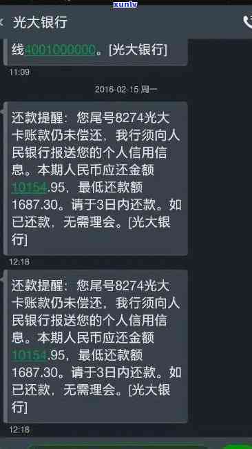 从翡翠霸王貔貅的选购到保养：全面指南，助你成为专家级珠宝收藏家