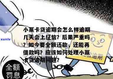 上海小赢卡逾期了半年会怎么样，警惕！上海小赢卡逾期半年的后果严重性