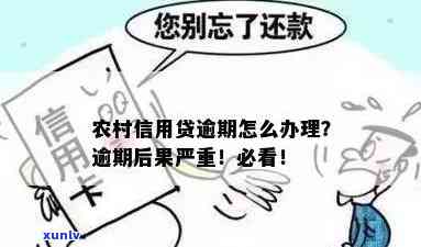 农村信用社逾期还不上会怎么样，逾期未还农信社贷款的结果是什么？