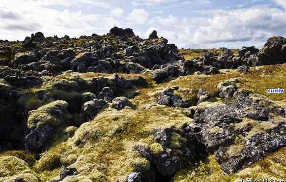 探究冰岛自然环境特点：气候、地形、生物多样性与壮美风光