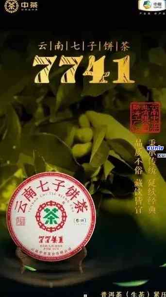 云南珠鑫茶叶：七子饼茶、景迈古树茶砖等产品介绍及价格信息，2010年份多少钱？公司 *** 信息一览