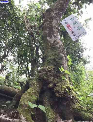 中邮消费逾期100天-中邮消费逾期100天会怎样