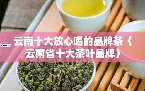 云南十大茶叶及价格，探寻云南茶文化：盘点十大茶叶及其价格