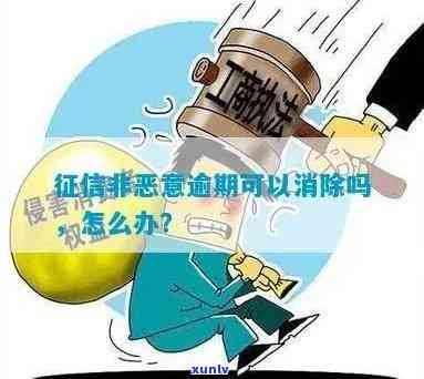 消费逾期非恶意逾期的解决  ：怎样消除逾期记录？