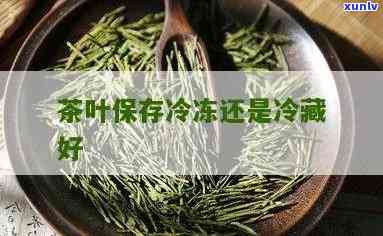 茶叶冷冻有什么好处和功效，探索茶叶冷冻的好处与功效：让你的茶叶体验全新升级！