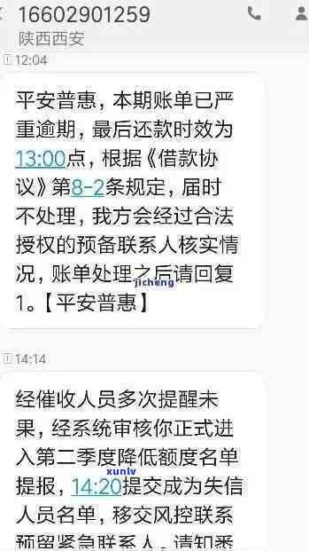 平安账单分期逾期一天怎么办，平安账单分期逾期一天的解决方案