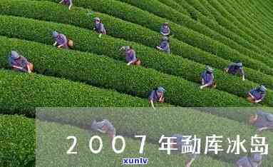 07年精制茶厂冰岛-冰岛茶叶精制厂