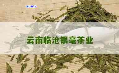 云南临沧银毫茶业，探索高品质茶叶：云南临沧银毫茶业的介绍与评价