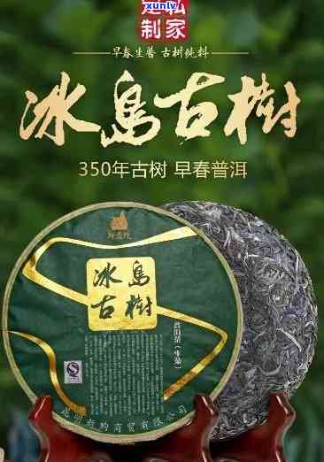 昆明易中祥茶厂冰岛-昆明易中祥茶厂 冰岛