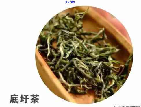 云南什么茶叶出名，云南十大名茶，你都知道哪些？