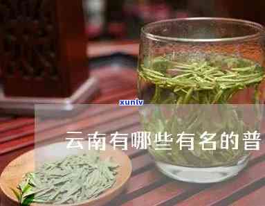 云南的什么茶叶有名-云南的什么茶叶有名气