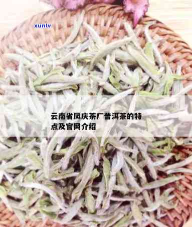 凤庆有哪些知名茶叶品种？什么茶叶喝、最特产？