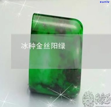 金丝冰阳绿翡翠-金丝阳绿翡翠介绍