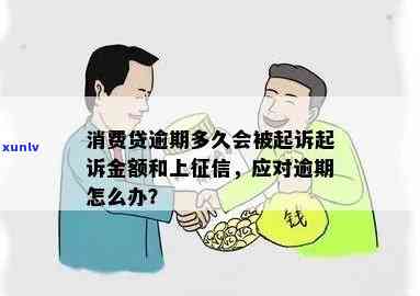 个人综合消费贷款逾期-个人综合消费贷款逾期多久会被起诉