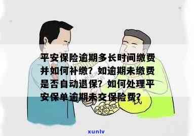 平安保险逾期没交保险费需要怎么交，怎样解决平安保险逾期未缴纳保费的情况？