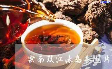 双江冰岛茶价格，揭秘双江冰岛茶的价格：你了解多少？